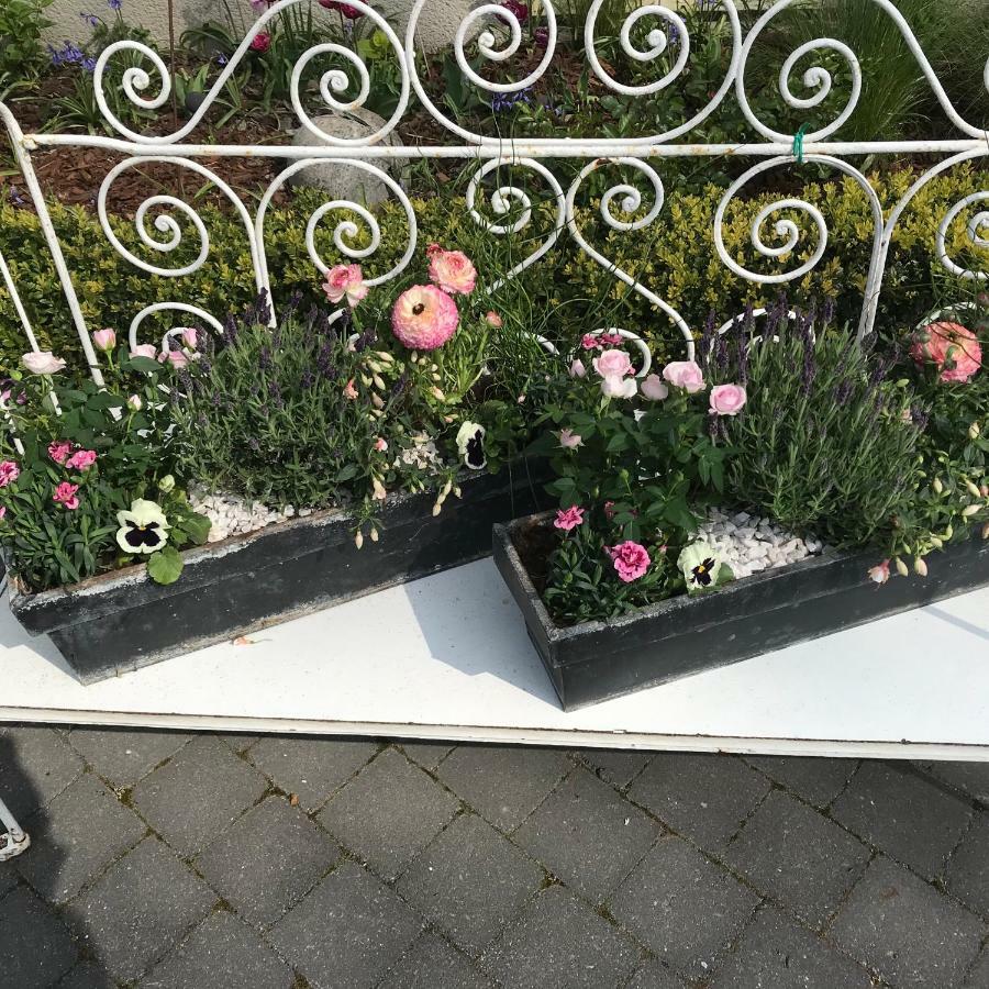 O Mylle Douceurs Bed & Breakfast Le Crotoy Bagian luar foto